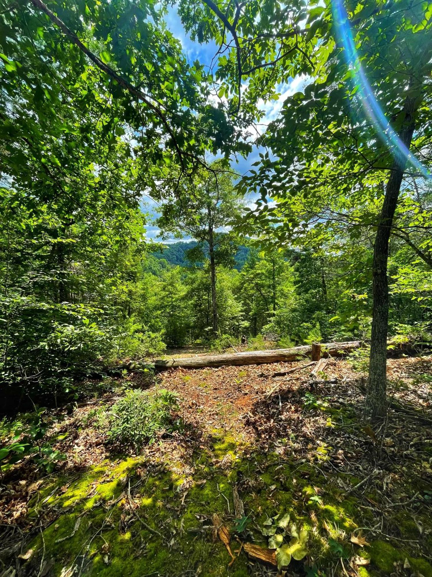 코스비 Tiny House, Wifi,Hot Tub,Secluded 빌라 외부 사진