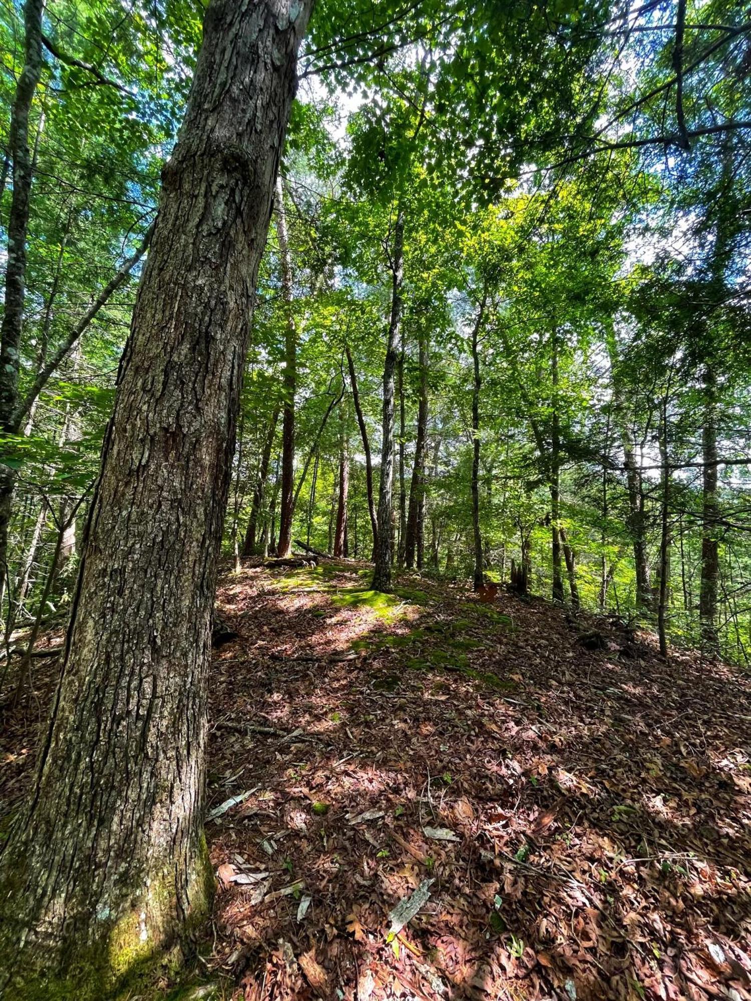 코스비 Tiny House, Wifi,Hot Tub,Secluded 빌라 외부 사진